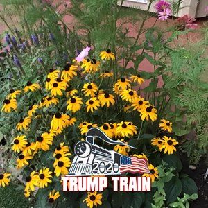 Meet your Posher, Pat